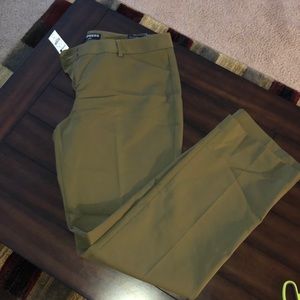 Express Dress Pants